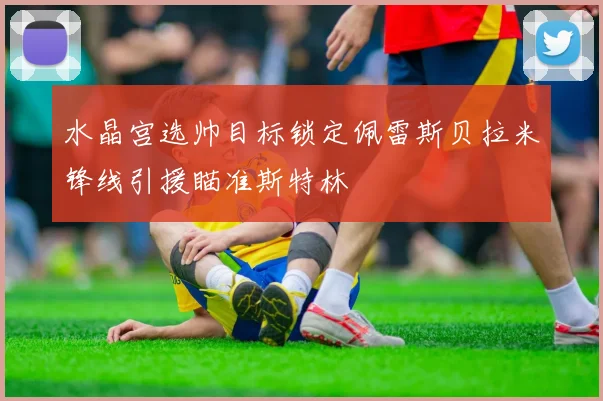 水晶宫选帅目标锁定佩雷斯贝拉米锋线引援瞄准斯特林