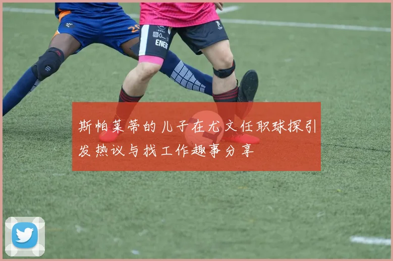 斯帕莱蒂的儿子在尤文任职球探引发热议与找工作趣事分享